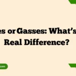 Gases or Gasses: What’s the Real Difference?