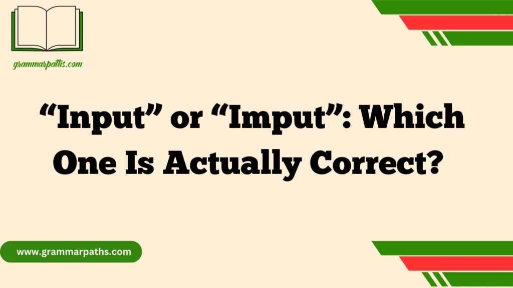  “Input” or “Imput”: Which One Is Actually Correct?