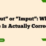  “Input” or “Imput”: Which One Is Actually Correct?