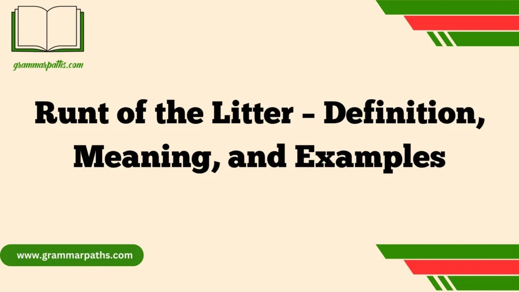 Runt of the Litter – Definition, Meaning, and Examples