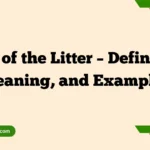 Runt of the Litter – Definition, Meaning, and Examples