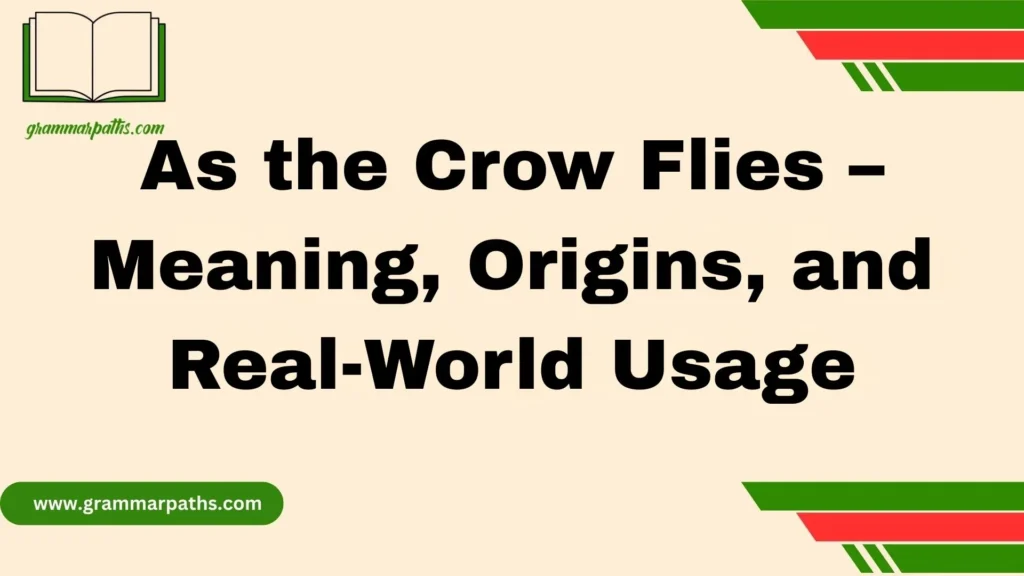 As the Crow Flies – Meaning, Origins, and Real-World Usage