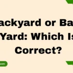 Backyard or Back Yard