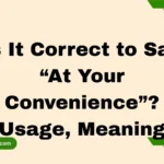 Is It Correct to Say “At Your Convenience”? Usage, Meaning