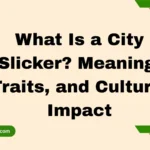 What Is a City Slicker? Meaning, Traits, and Cultural Impact