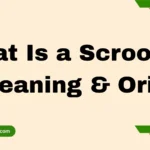 What Is a Scrooge? – Meaning & Origin