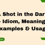 A Shot in the Dark – Idiom, Meaning, Examples & Usage