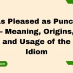 As Pleased as Punch – Meaning, Origins, and Usage of the Idiom