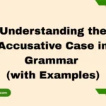 Understanding the Accusative Case in Grammar (with Examples)